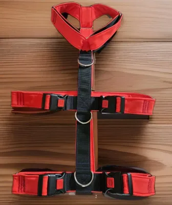 Hundesicherheitsgeschirr Schwarz/Neonrot