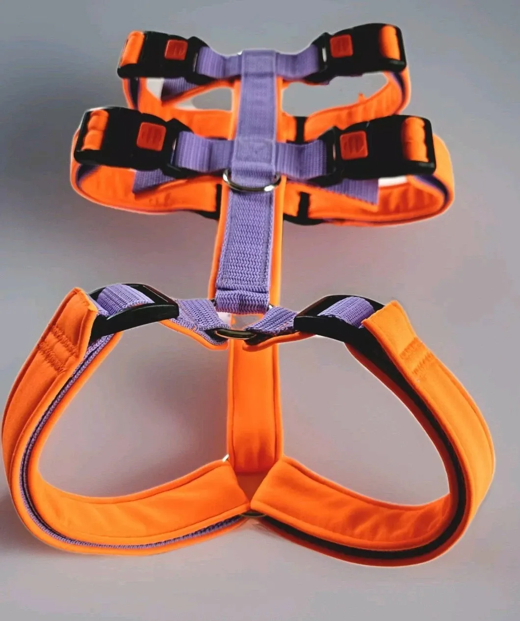 Hundesicherheitsgeschirr Flieder/Neonorange