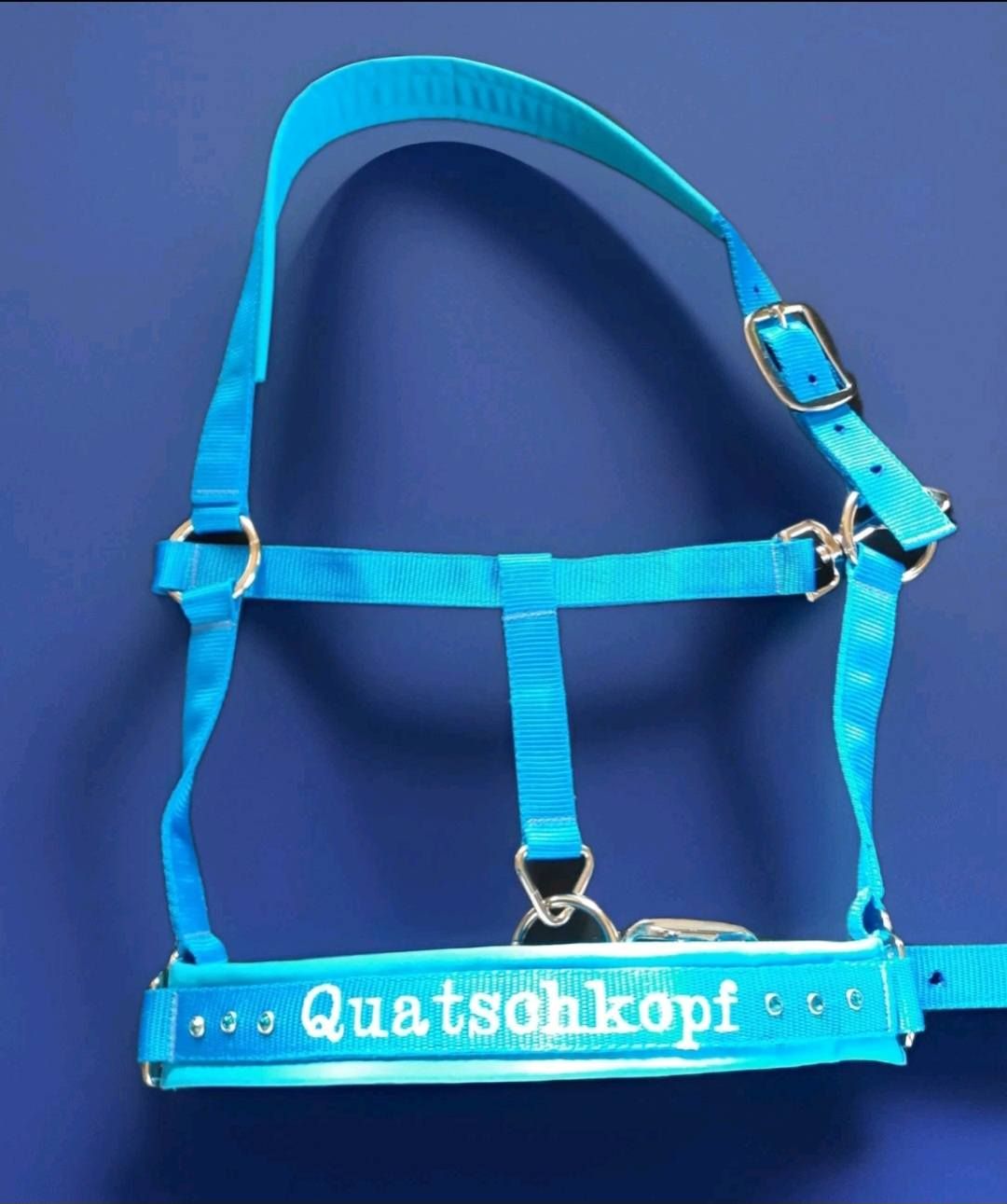 Besticktes Halfter Aquablau