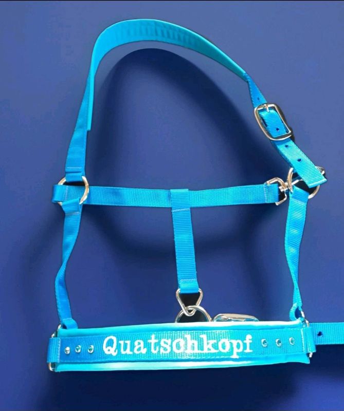 Besticktes Halfter Aquablau