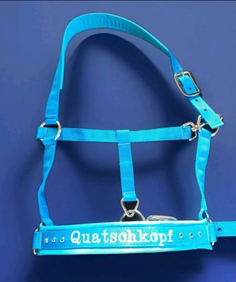 Besticktes Halfter Aquablau