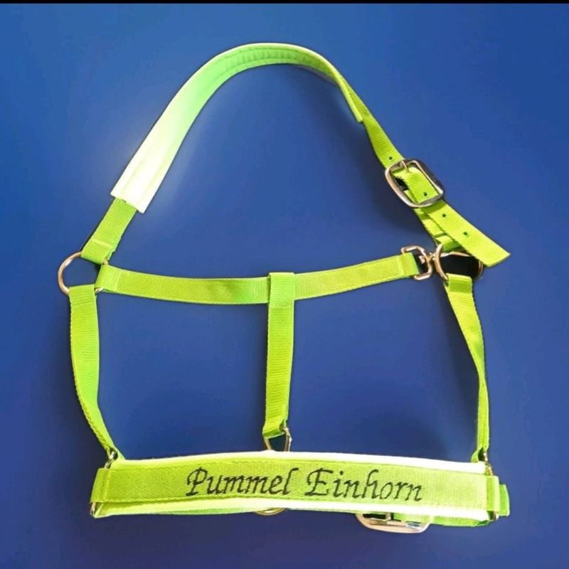 Besticktes Halfter Limone