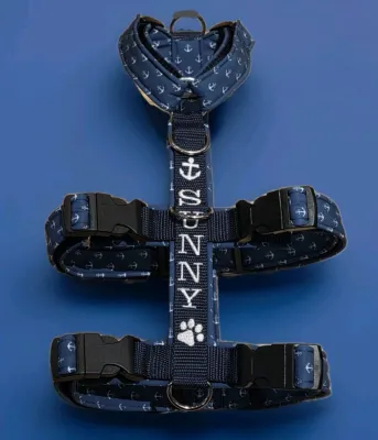 Sicherheitsgeschirr Dunkelblau/Anker