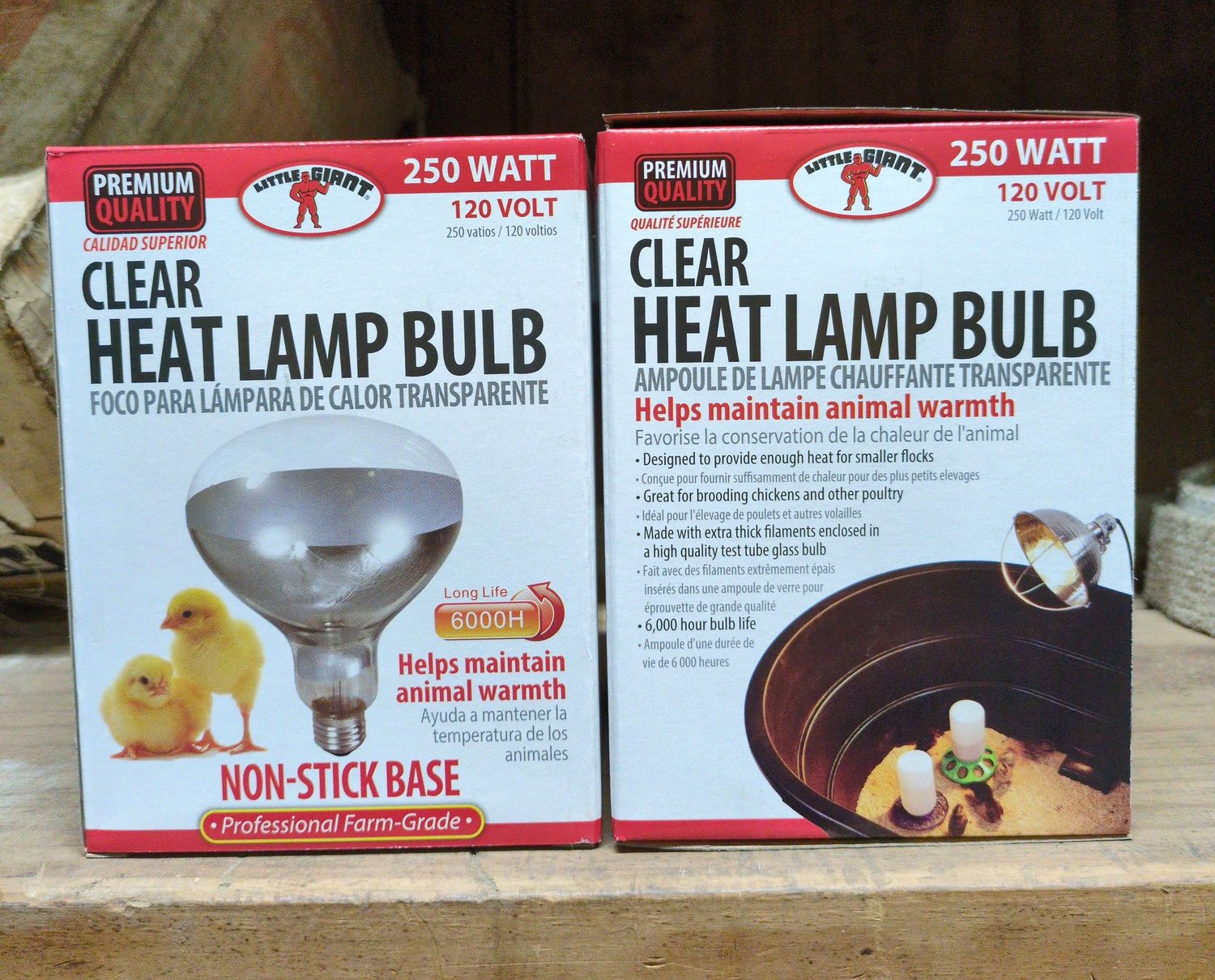 170031 250 WATT CLEAR HEAT LAMP BUL