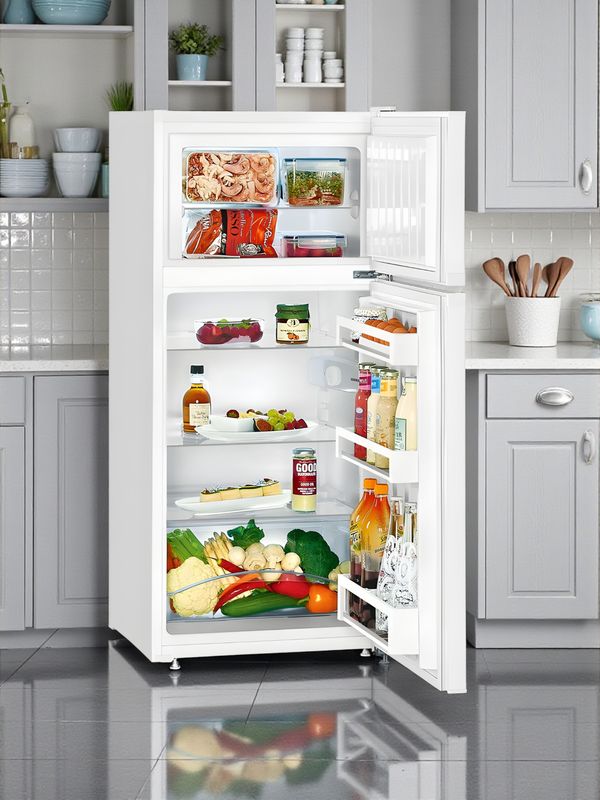 Liebherr CT 2131 Kühlschrank 198 kWh/Jahr, 44L Gefrierfach, 152L Kühlraum, Energieeffizienzklasse F