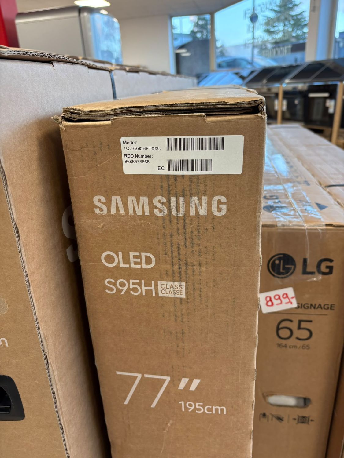 Samsung OLED 77S95H Fernseher TQ77S95HFTXXC