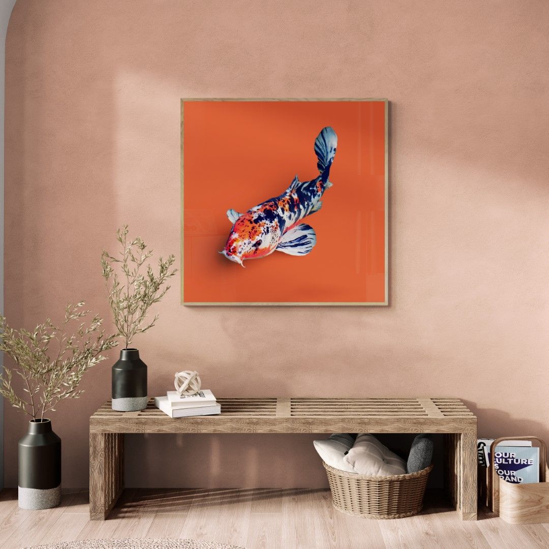 Japan – Koi fish in red background