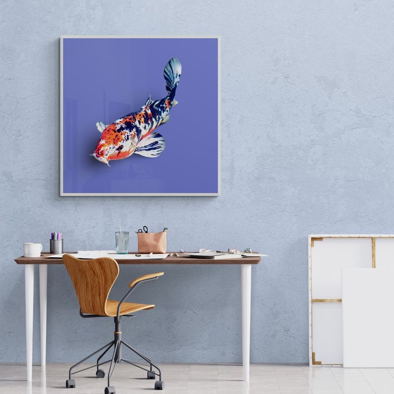 Japan – Koi fish in blue background.