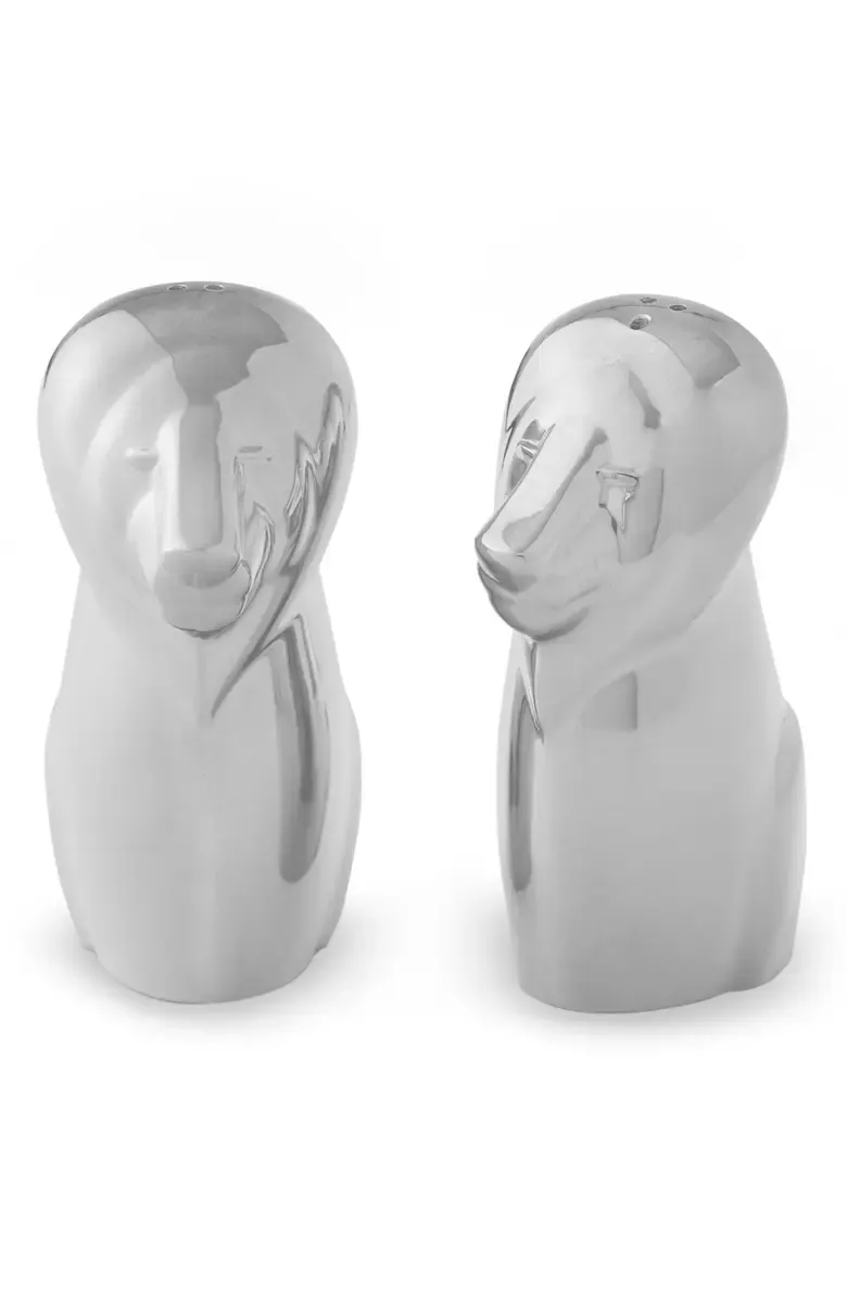 NAMBE Lion Salt Pepper Shakers