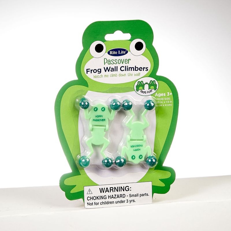 RIT Frog Wall Climber