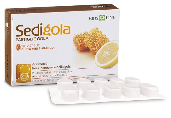 APIX SEDIGOLA MIELE ARA 20PAST
