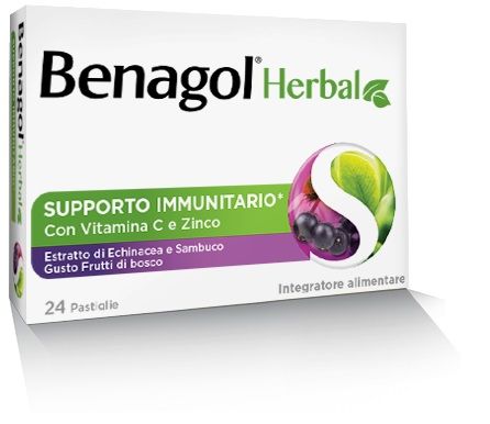 BENAGOL HERBAL FRUT BOS 24PAST BENAGOL HERBAL FRUT BOS 24PAST