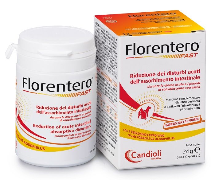 FLORENTERO FAST 12CPR FLORENTERO FAST 12CPR