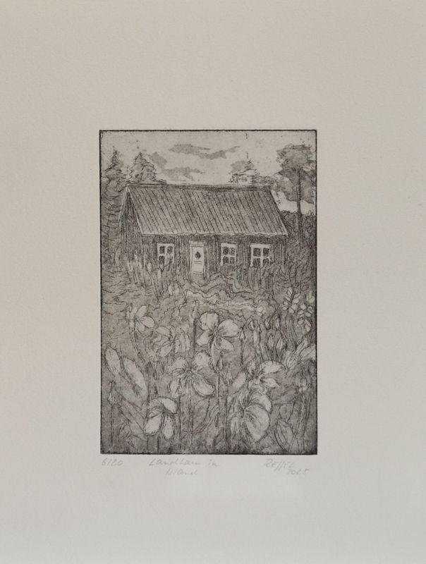 Landhaus in Island