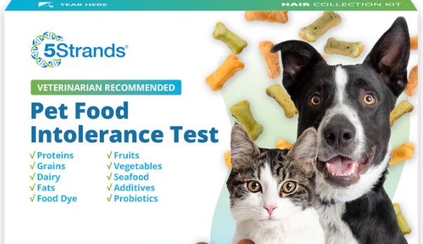 5Strands Pet Intolerance Test, Raw Food, 315-items