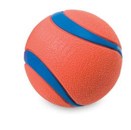 Chuckit! Ultra Rubber Ball Dog Toy, Medium