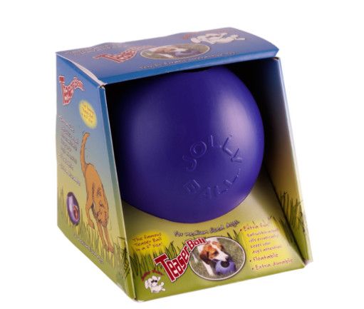 Jolly Pets Teaser Ball Dog Toy, Blue, 6-in