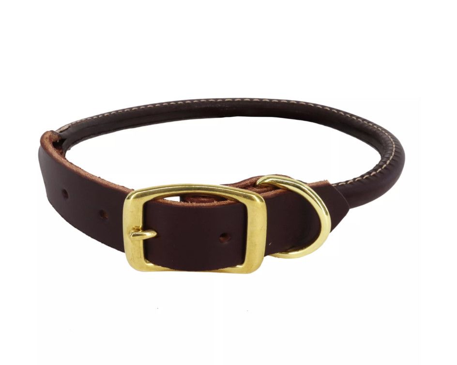 Circle T Latigo Leather Round with Solid Brass Hardware Dog Collar, 5/8-in x 16-in