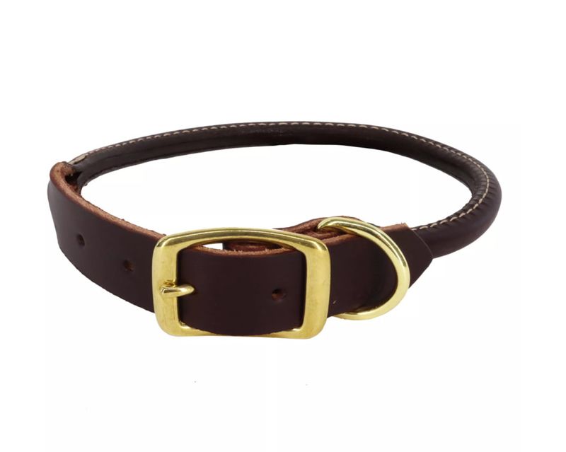 Circle T Latigo Leather Round with Solid Brass Hardware Dog Collar, 5/8-in x 16-in
