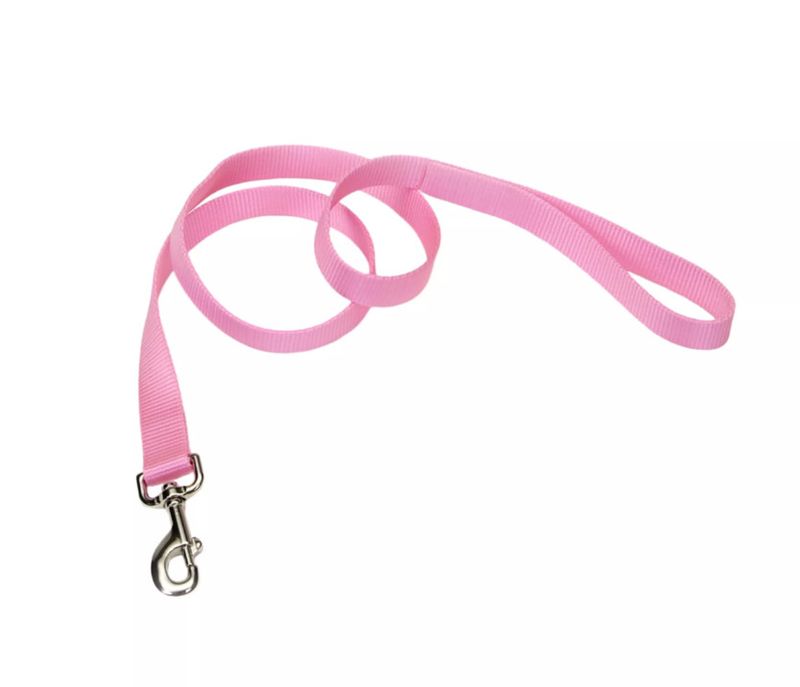 Coastal Single-Ply Dog Leash, Pink Bright, 1-in x 6-ft