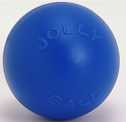 Jolly Pets Push-n-Play Dog Toy, Blue, 10-in