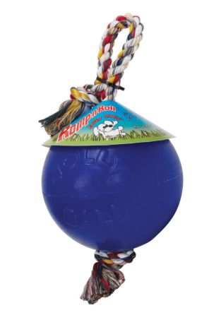 Jolly Pets Romp-n-Roll Dog Toy, Blue, 6-in