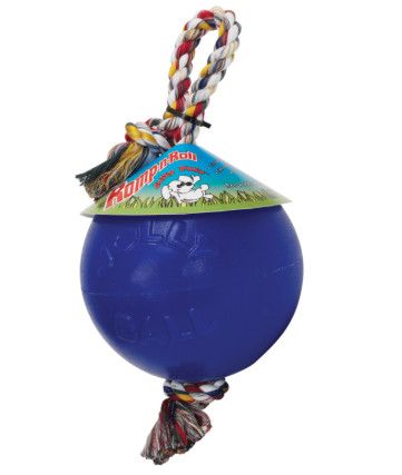 Jolly Pets Romp-n-Roll Dog Toy, Blue, 8-in
