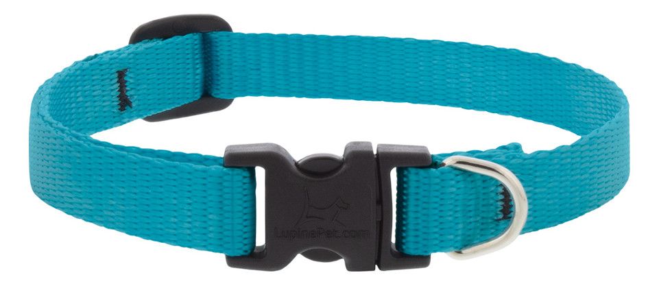 Lupine Pet Basic Solids Adjustable Dog Collar, Aqua, 1/2-in x 8-12-in
