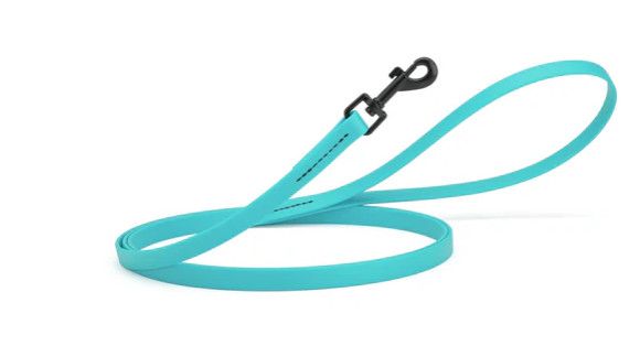 Dogline Biothane Waterproof Dog Leash, Sky Blue, 3/4-in x 6-ft