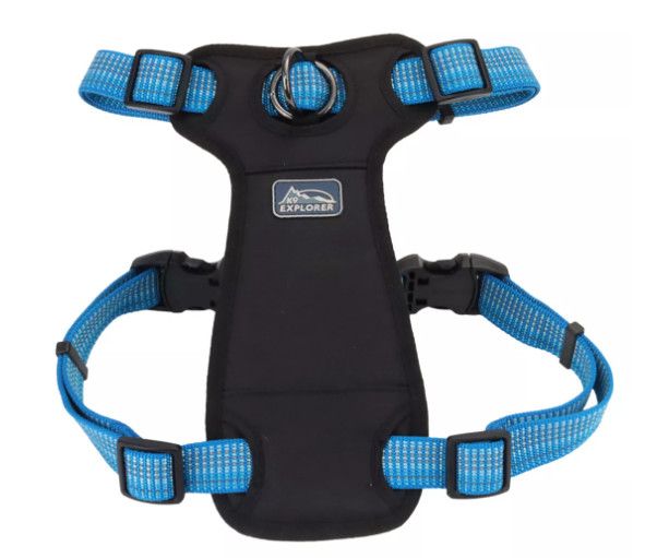 K9 Explorer Brights Reflective Front-Connect Dog Harness, Lake, 1-in x 26-38-in