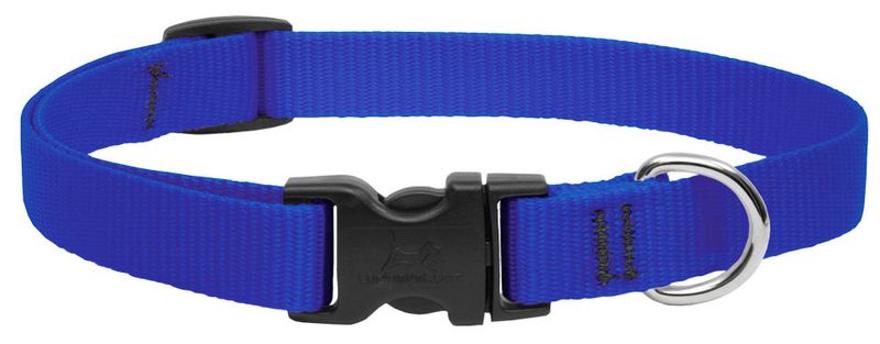 Lupine Pet Basic Solids Adjustable Dog Collar, Blue, 1/2-in x 8-12-in