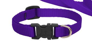Lupine Pet Basic Solids Adjustable Dog Collar, Purple, 1/2-in x 8-12-in
