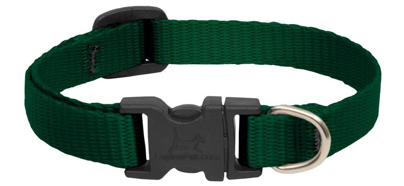Lupine Pet Basic Solids Adjustable Dog Collar, Green, 1-in x 12-20-in