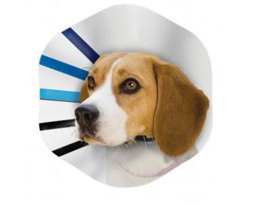 KONG E-Collar EZ Clear for Pets, Small