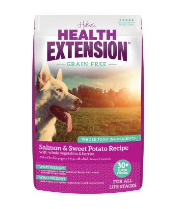 Health Extension Grain-Free Salmon Recipe Dry Dog Food, 23.5-lb