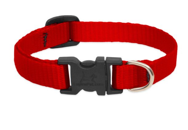 Lupine Pet Basic Solids Adjustable Dog Collar, Red, 1-in x 16-28-in