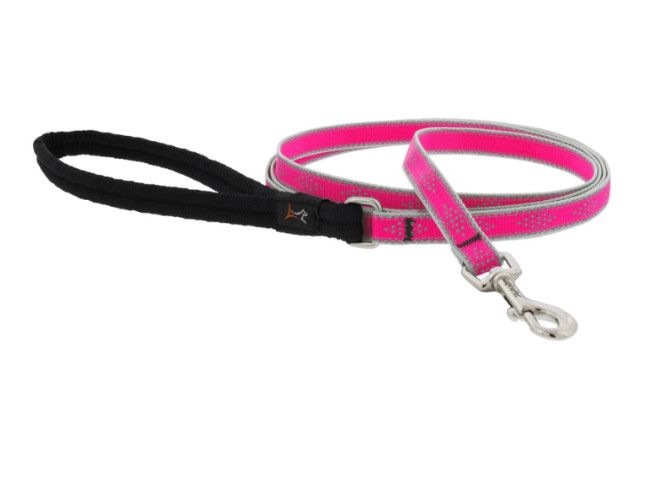 Lupine Pet High Lights Reflective Dog Leash, Pink Diamond, 1-in x 6-ft