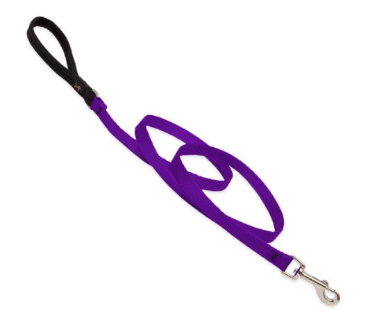 Lupine Pet Basic Solids Dog Leash, Purple, 1-in x 6-ft