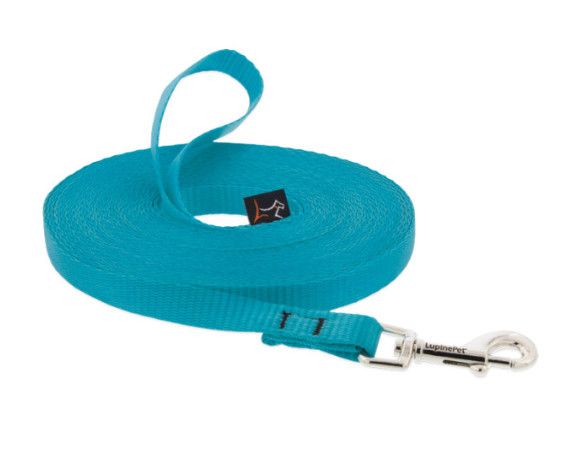 Lupine Pet Basic Solids Dog Leash, Aqua, 1/2-in x 4-ft