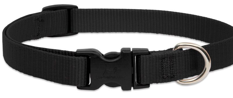 Lupine Pet Basic Solids Adjustable Dog Collar, Black, 1-in x 16-28-in