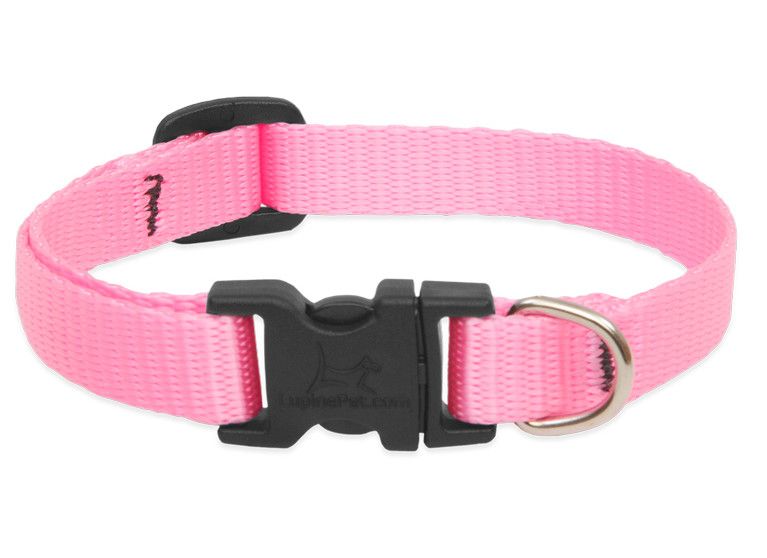 Lupine Pet Basic Solids Adjustable Dog Collar, Pink, 1-in x 16-28-in