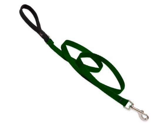 Lupine Pet Basic Solids Dog Leash, Green, 1-in x 6-ft
