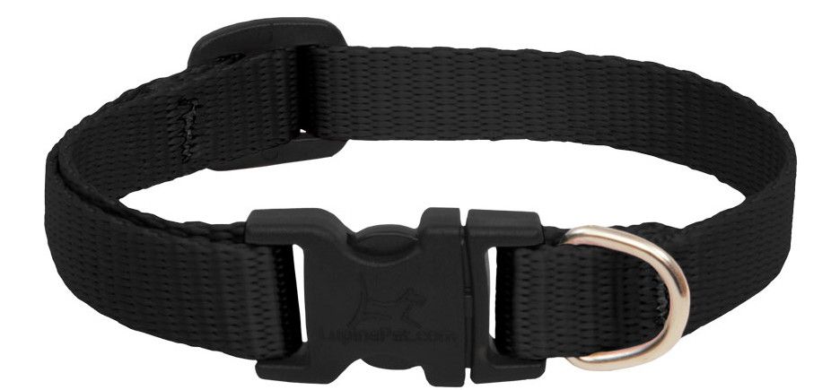 Lupine Pet Basic Solids Adjustable Dog Collar, Black, 1/2-in x 8-12-in