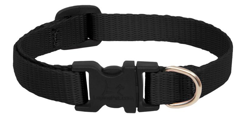 Lupine Pet Basic Solids Adjustable Dog Collar, Black, 1/2-in x 8-12-in
