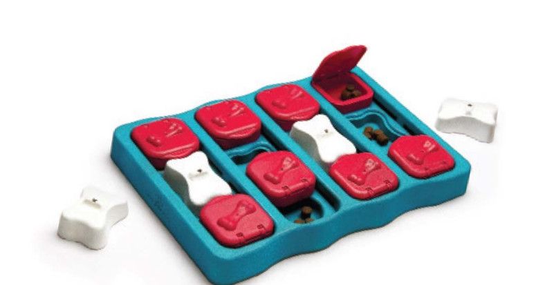 Outward Hound Nina Ottosson Brick Puzzle Dog Toy