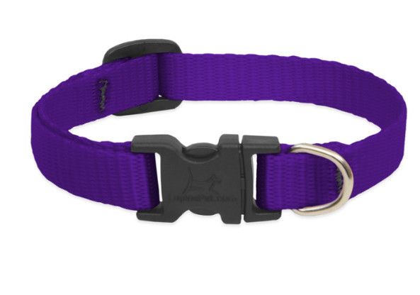 Lupine Pet Basic Solids Adjustable Dog Collar, Purple, 1-in x 16-28-in