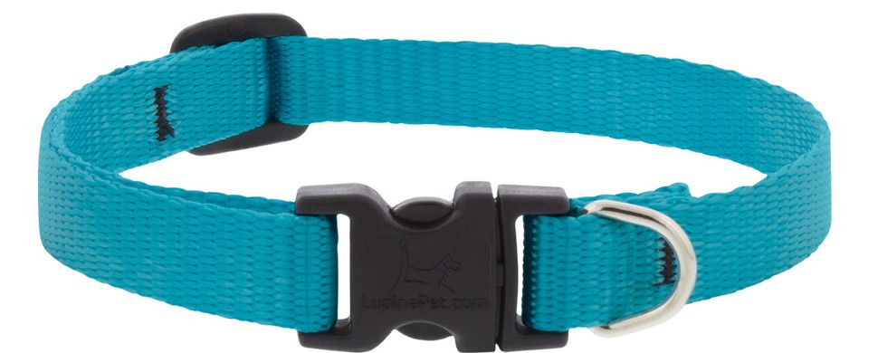 Lupine Pet Basic Solids Adjustable Dog Collar, Aqua, 1/2-in x 6-9-in