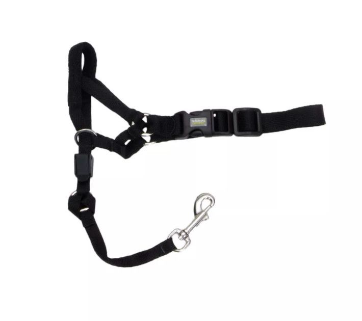 Coastal Walk 'n Train! Dog Head Halter, Black, Small