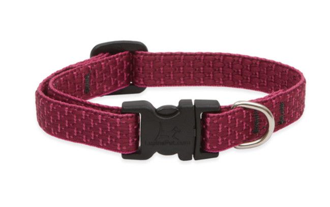 Lupine Pet Eco Adjustable Dog Collar, Berry, 1/2-in x 6-9-in