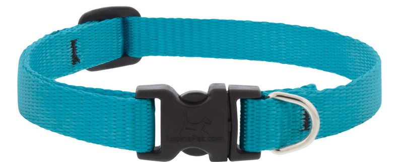 Lupine Pet Basic Solids Adjustable Dog Collar, Aqua, 1-in x 16-28-in